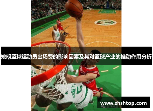 姚明篮球运动员出场费的影响因素及其对篮球产业的推动作用分析