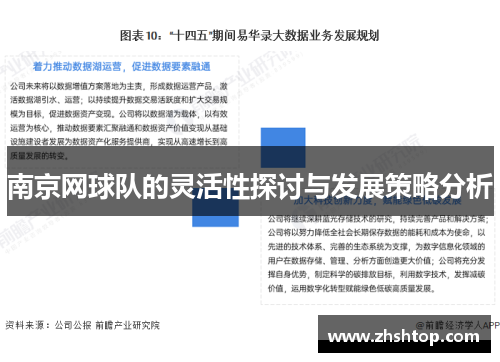南京网球队的灵活性探讨与发展策略分析