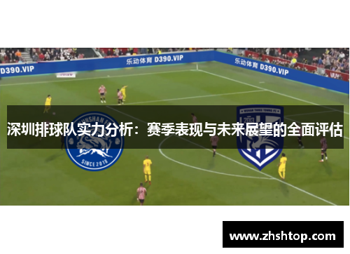 深圳排球队实力分析：赛季表现与未来展望的全面评估