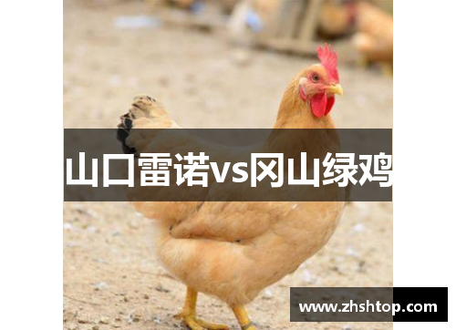 山口雷诺vs冈山绿鸡